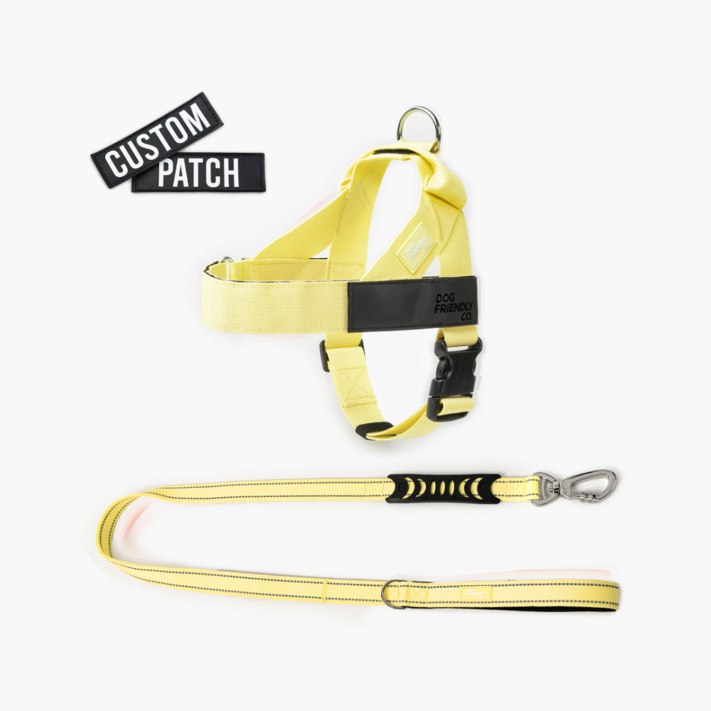 Signature Kit - Yellow - FREE D-Ring