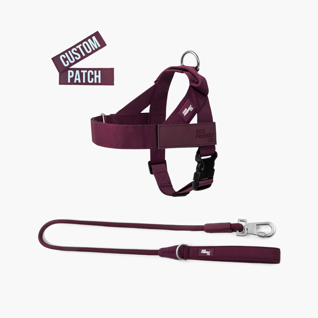 Signature Kit - Burgundy - FREE D-Ring