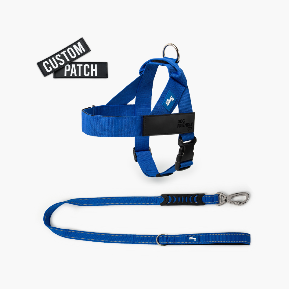Signature Kit - Classic Blue - FREE D-Ring