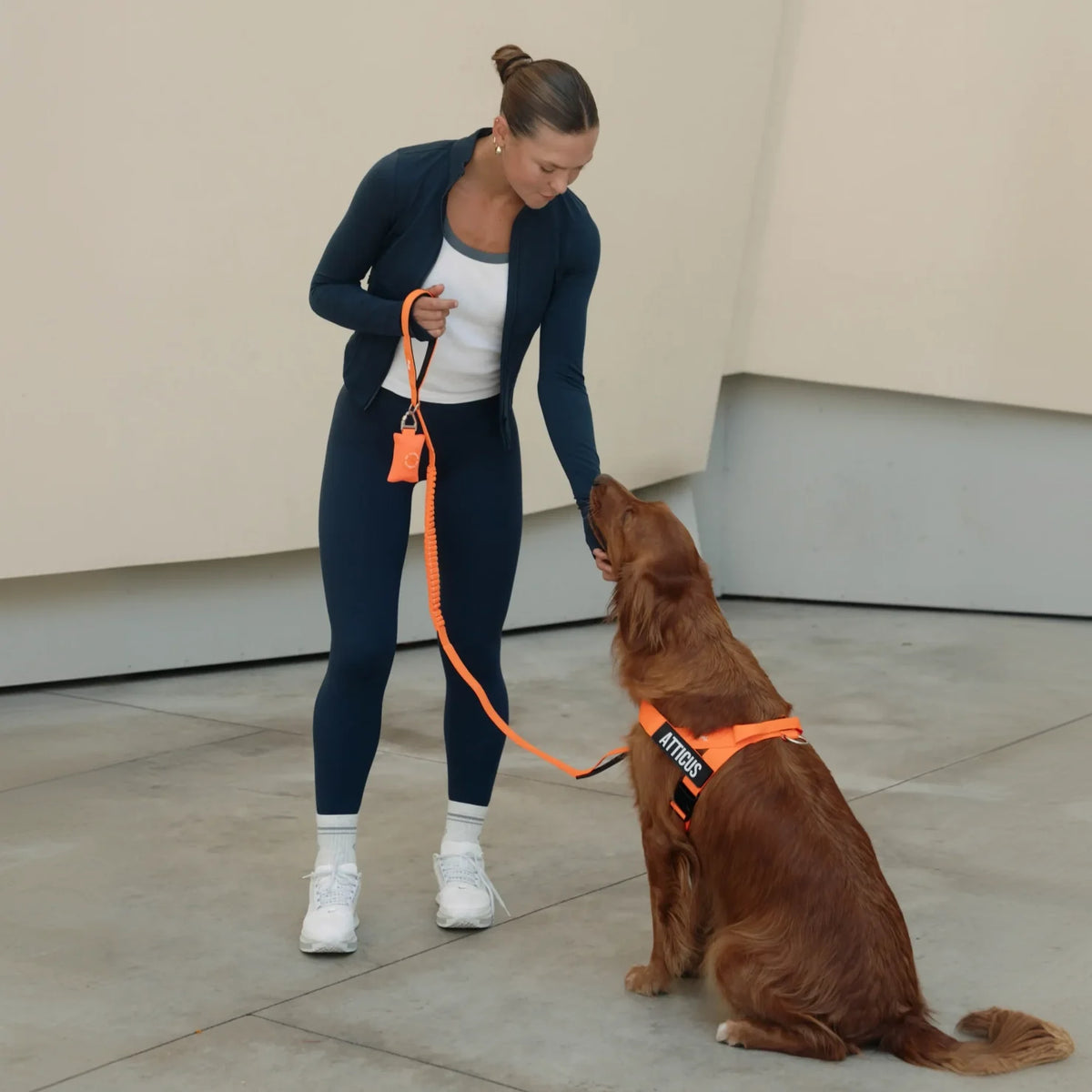 Bungee Dog Leash - Hi-Vis Orange
