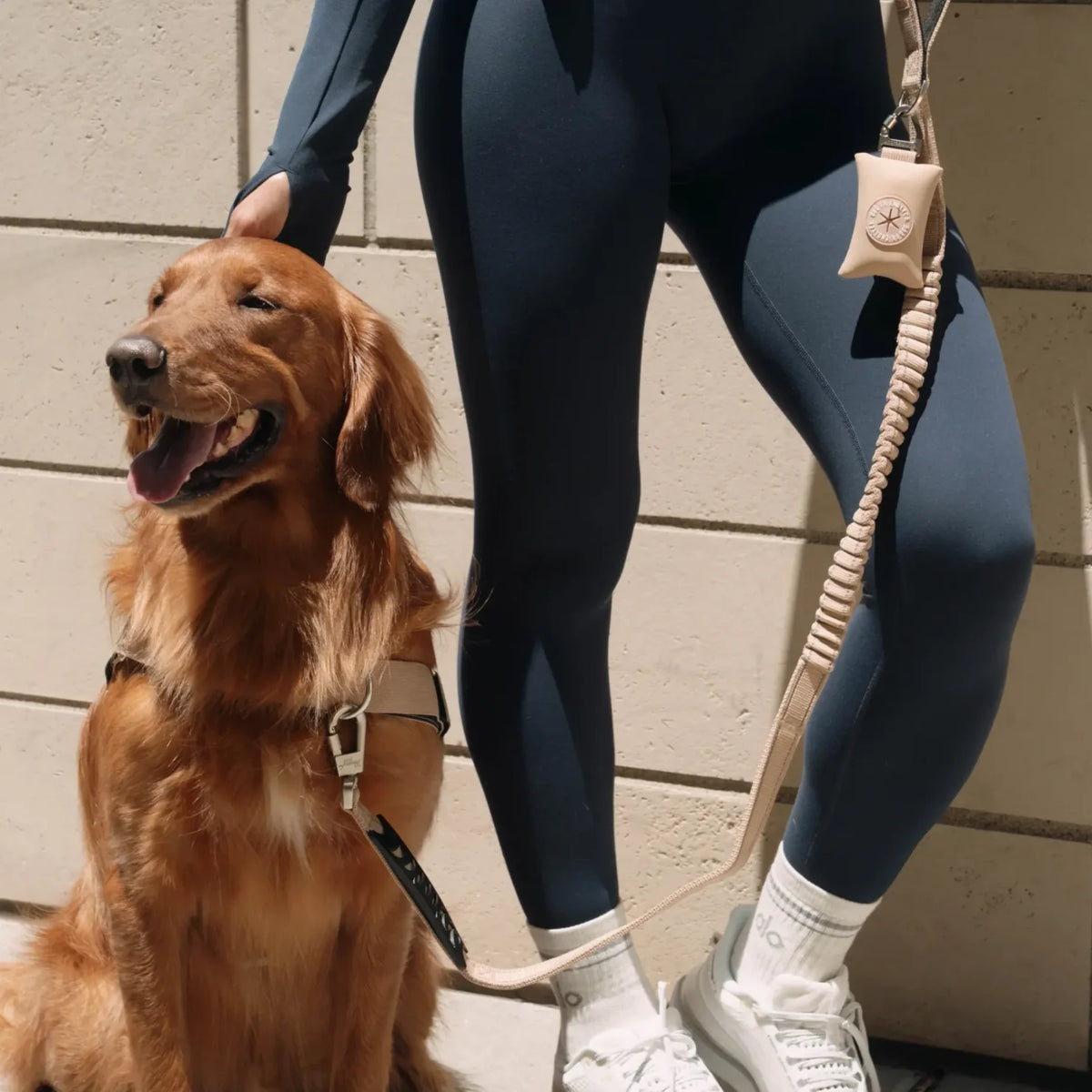 Bungee Dog Leash - Brown