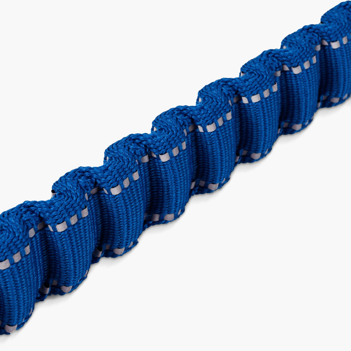 Bungee Dog Leash