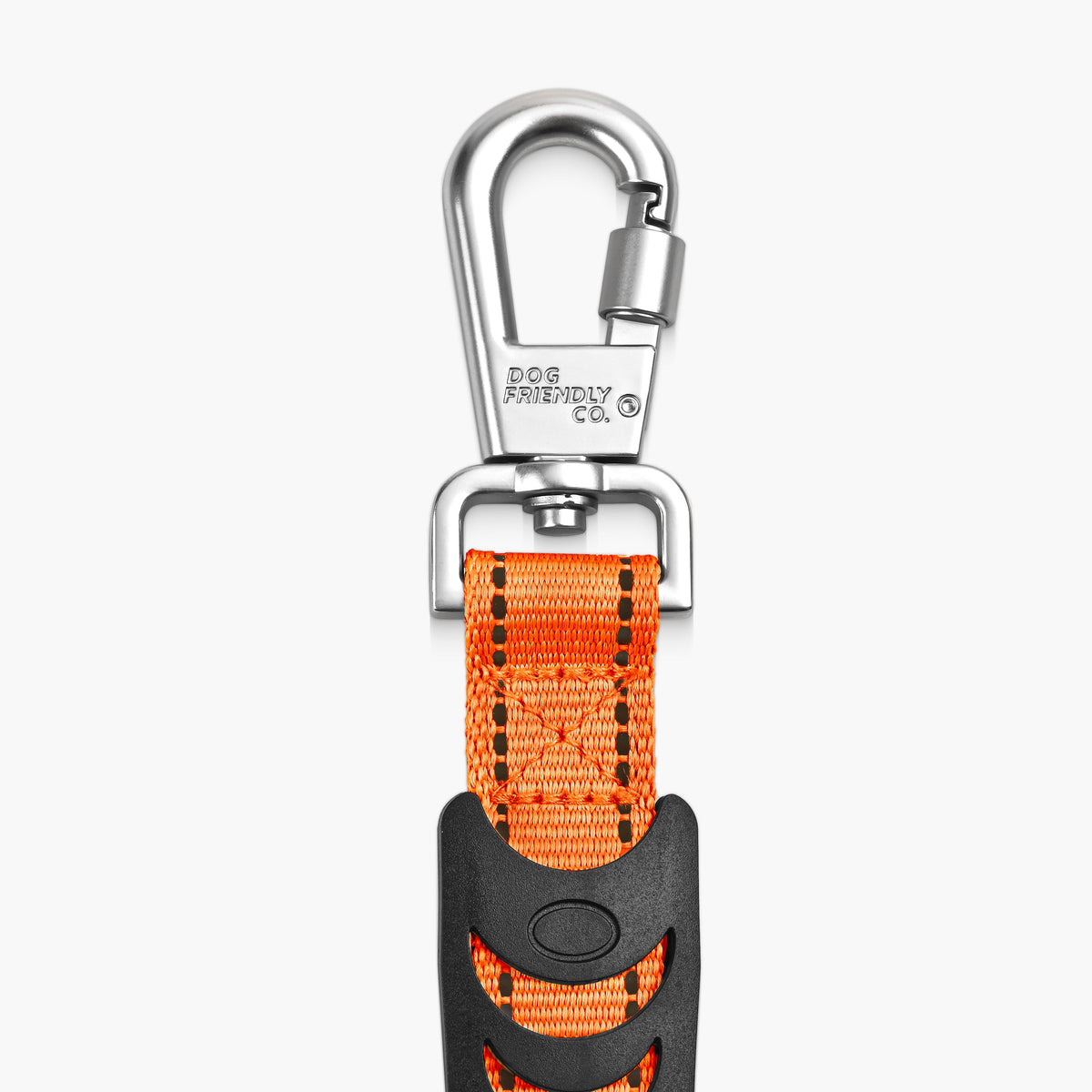 Bungee Dog Leash