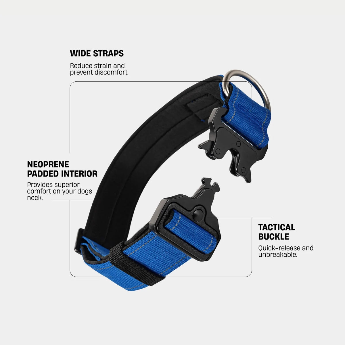 Collar Walk Set - Classic Blue