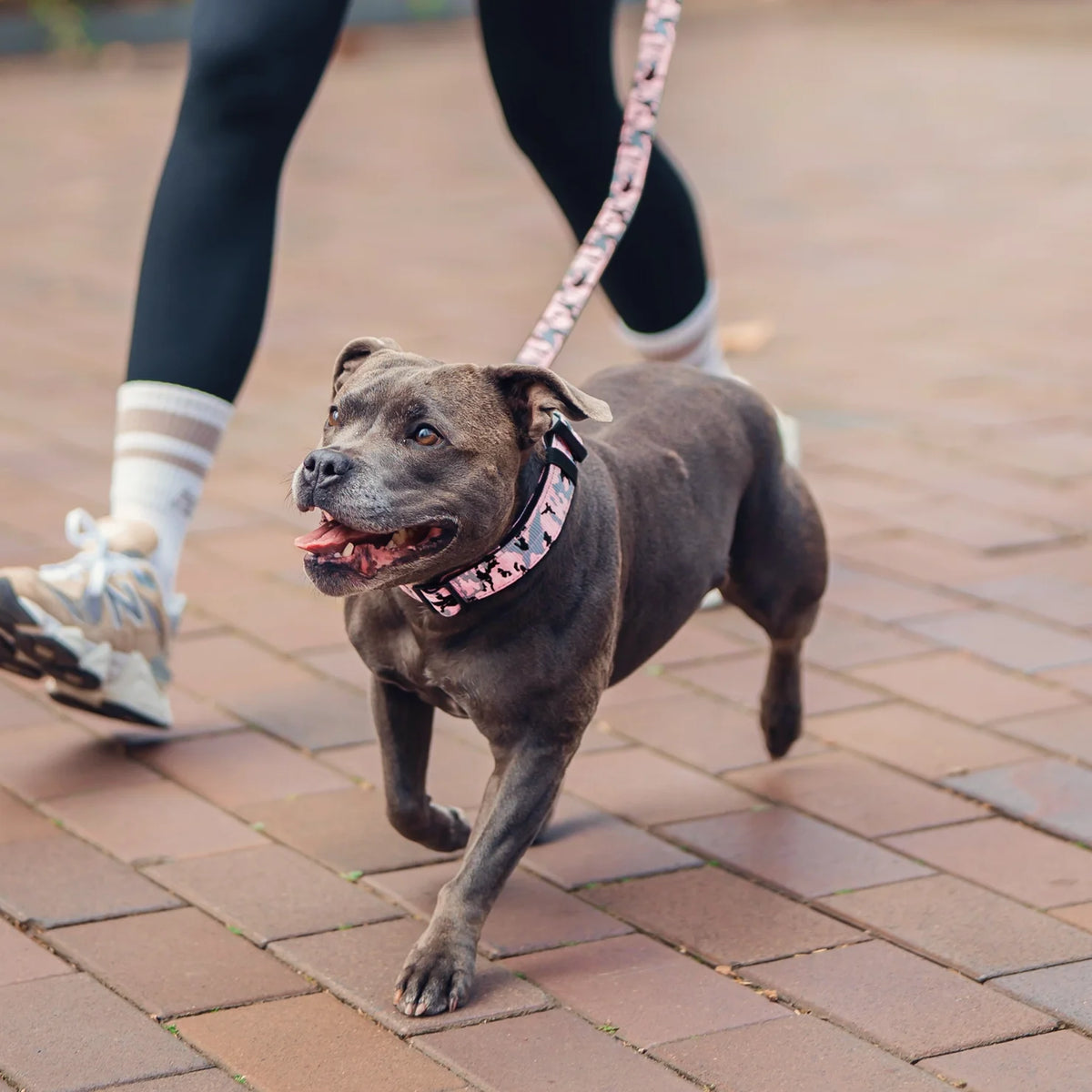 Collar Walk Set - Pink Camo