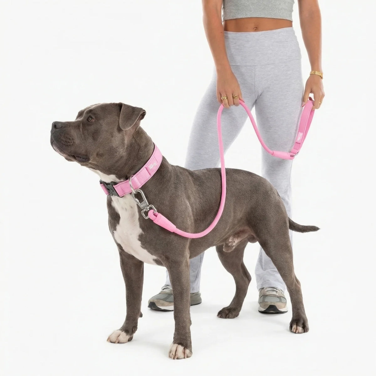 Collar Walk Set - Pink