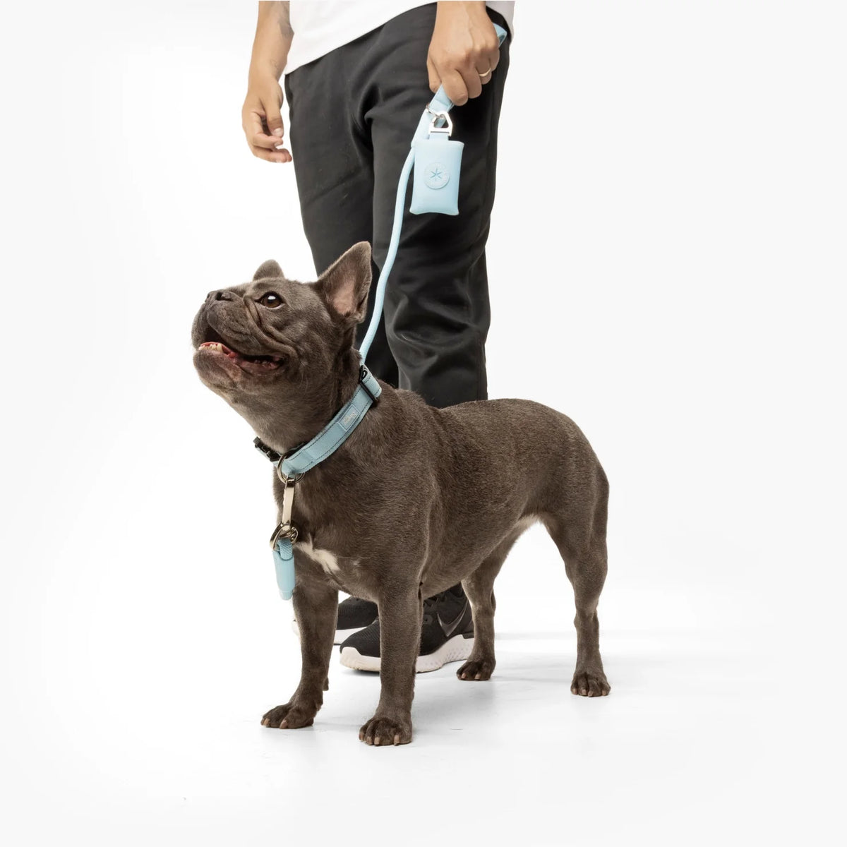 Collar Walk Set - Sky Blue
