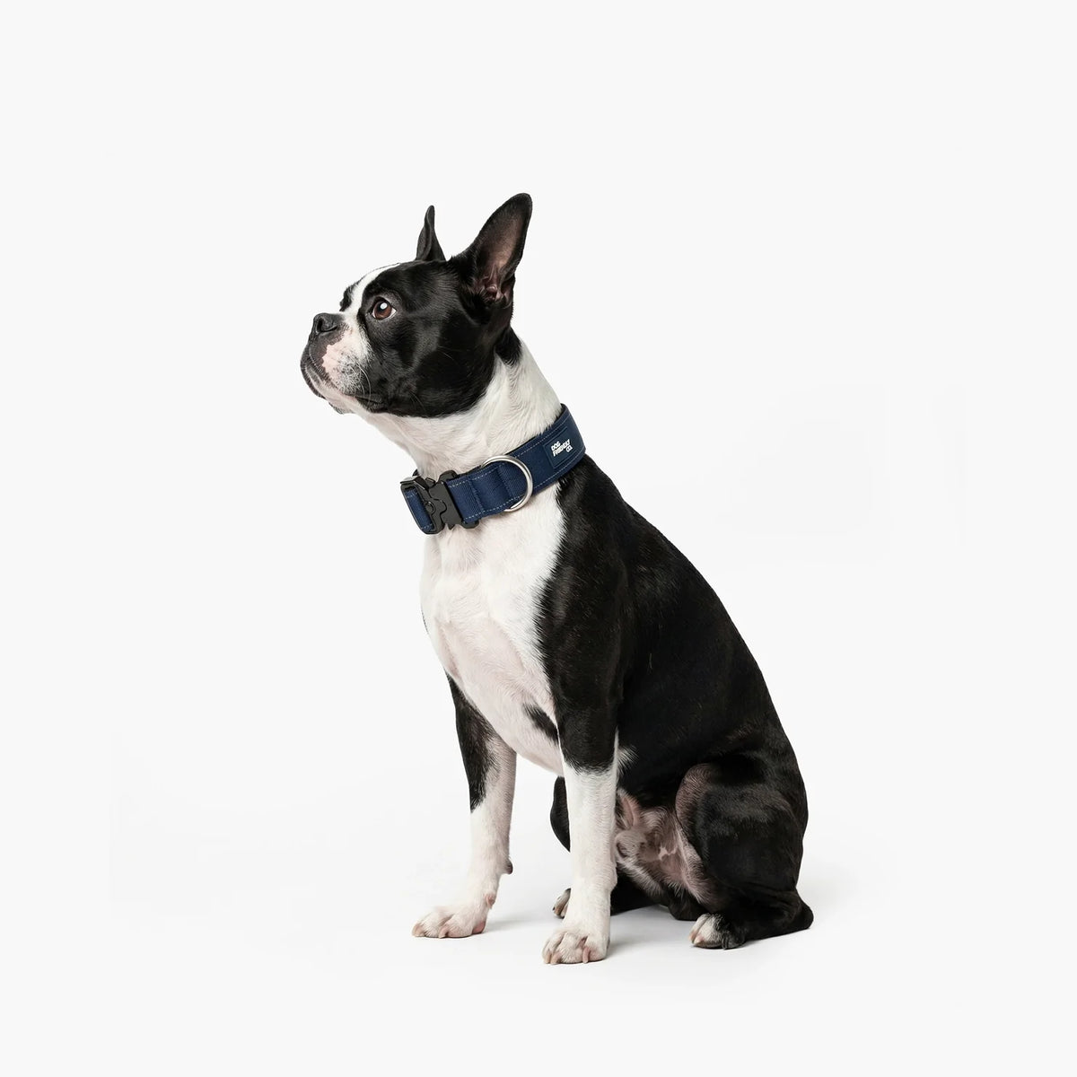 Tactical Dog Collar - Navy Blue