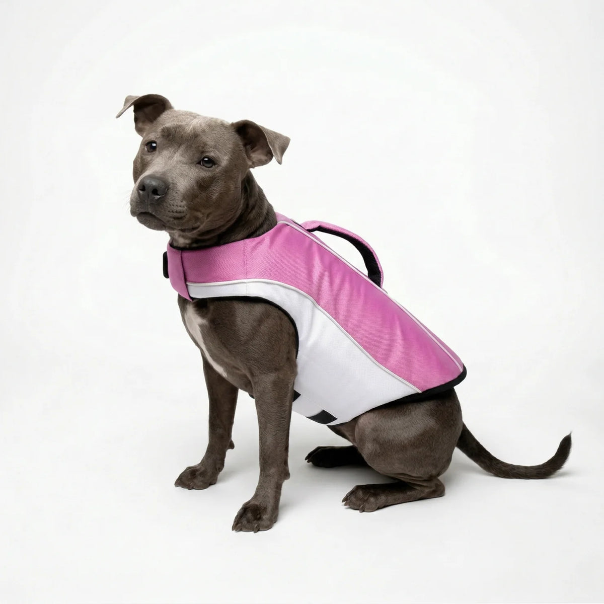 Dog Life Jacket