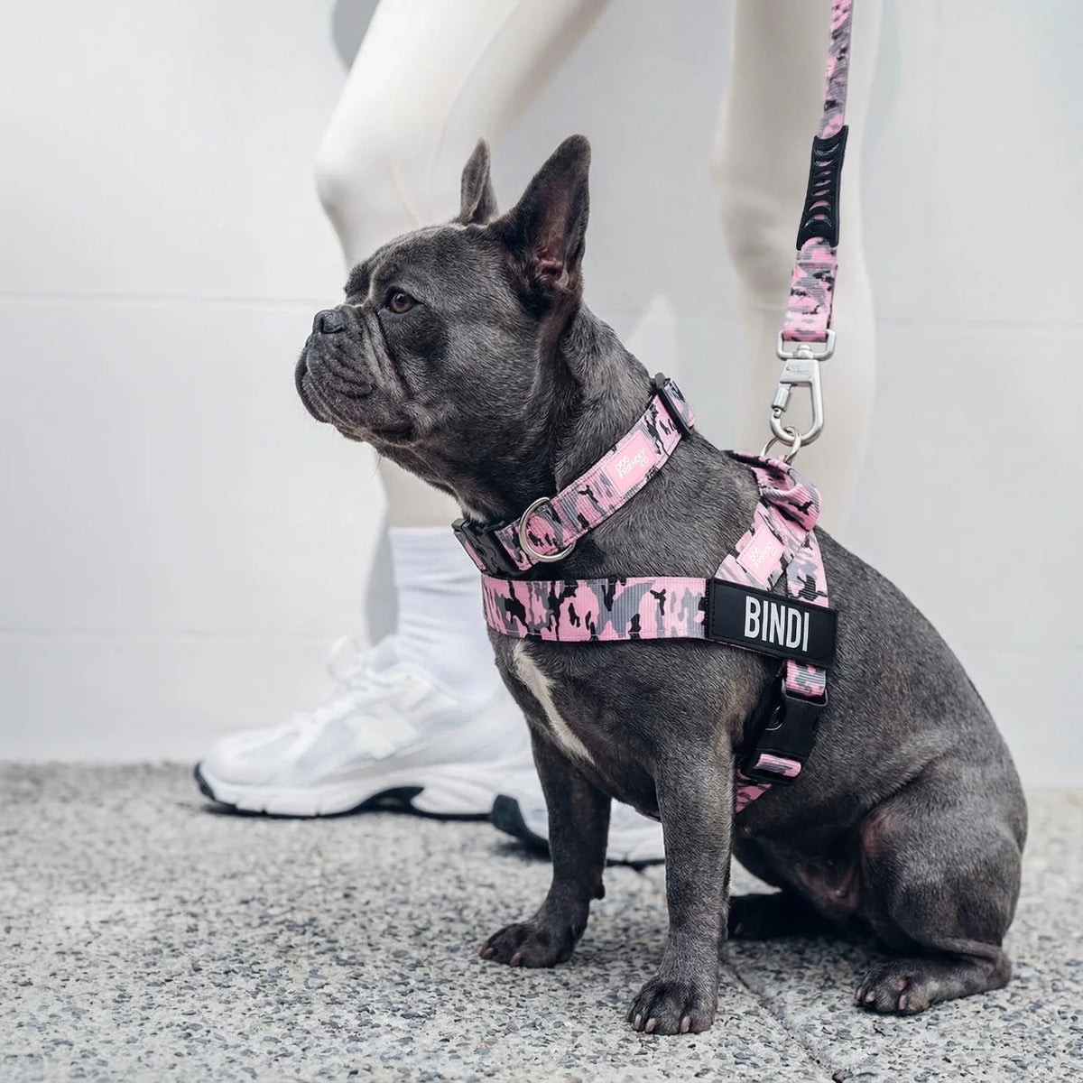 Dog Lovers Pack - Pink Camo