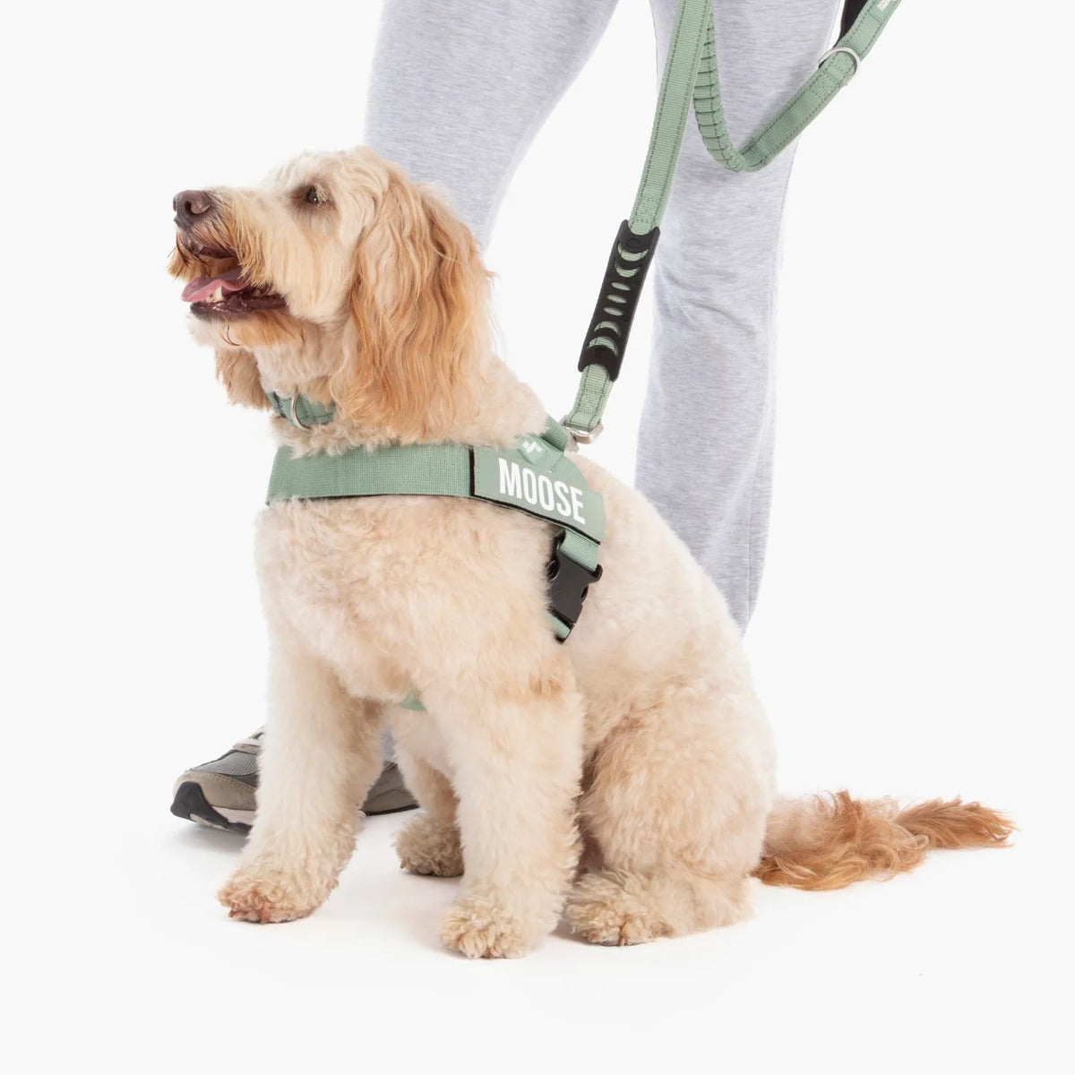 Dog Lovers Pack - Khaki