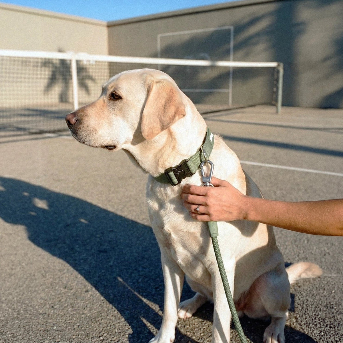 Dog Lovers Pack - Khaki