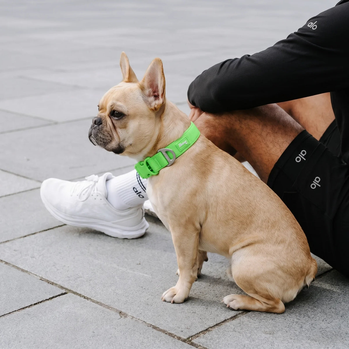 Essentials Collar - Neon Green