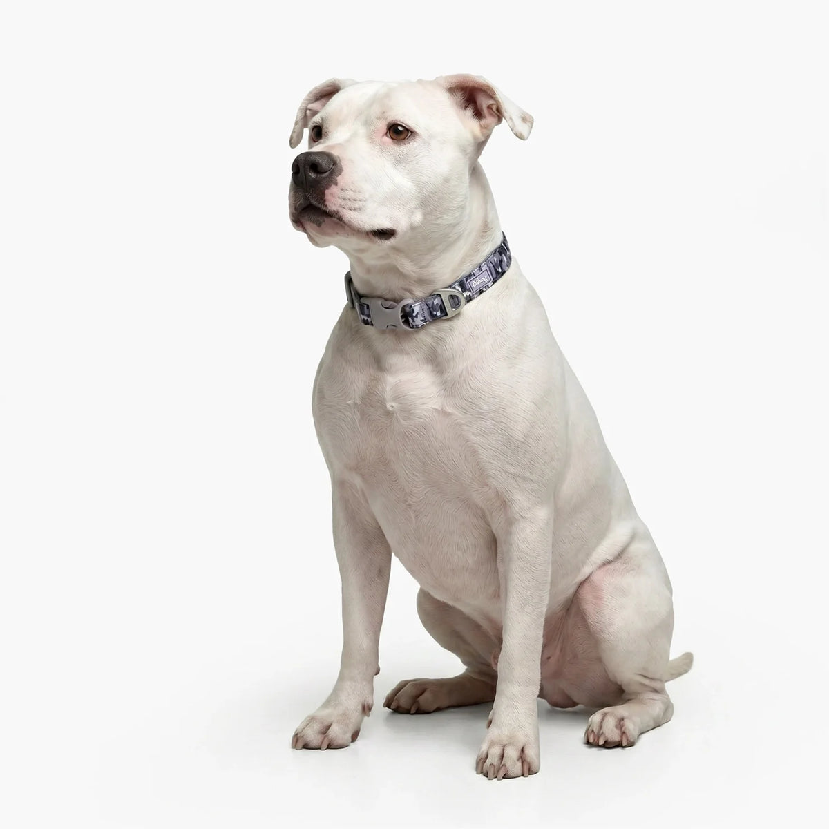 Essentials Collar - Grey Camo