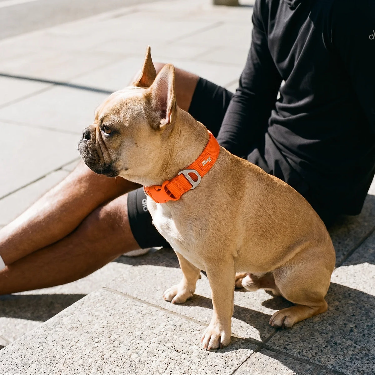 Essentials Collar - Orange