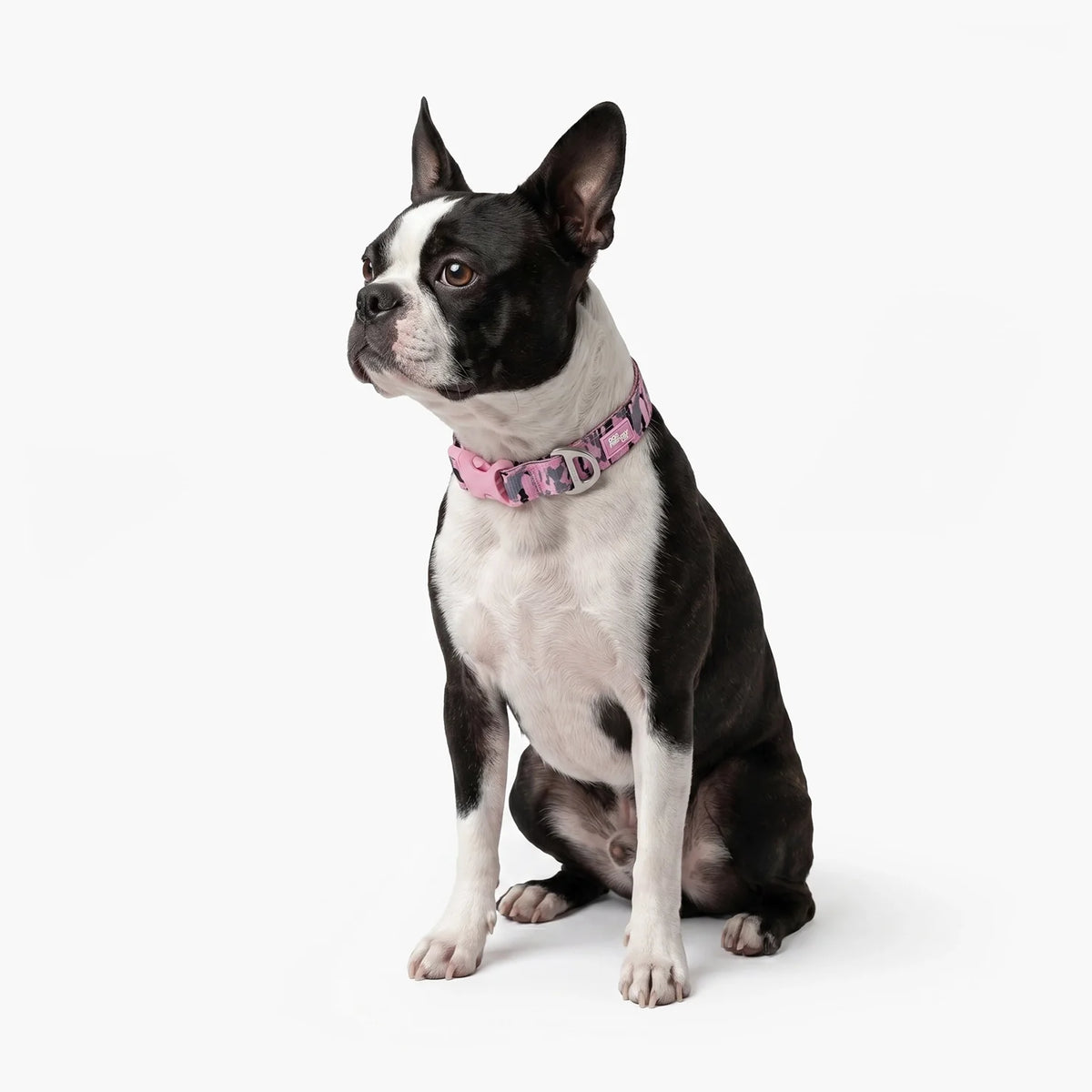 Essentials Collar - Pink Camo