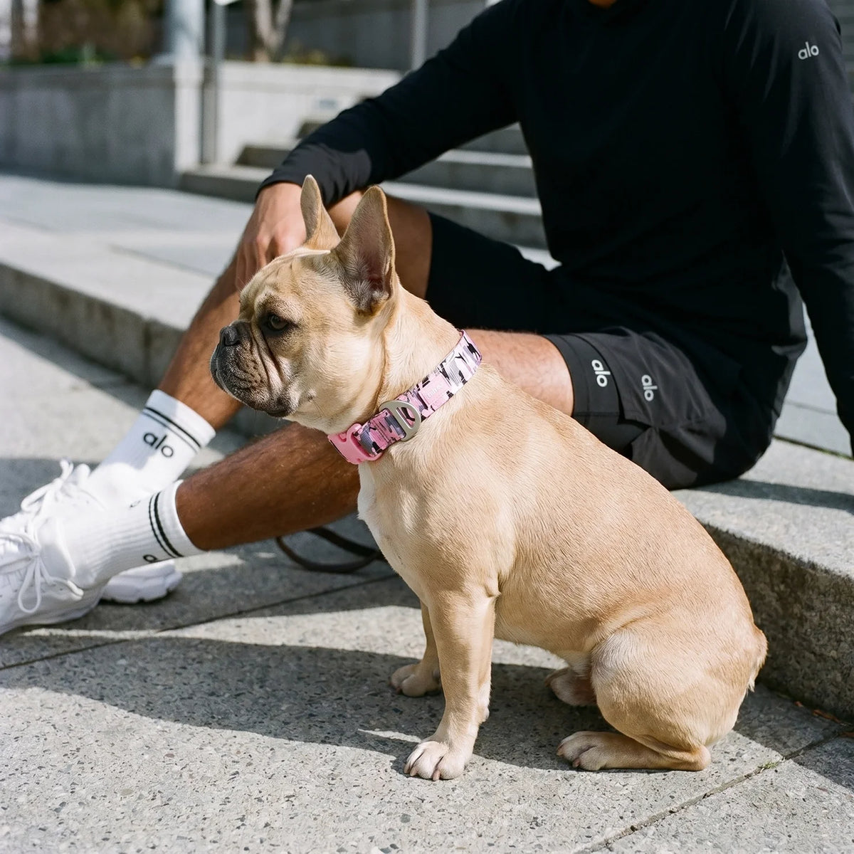 Essentials Collar - Pink Camo