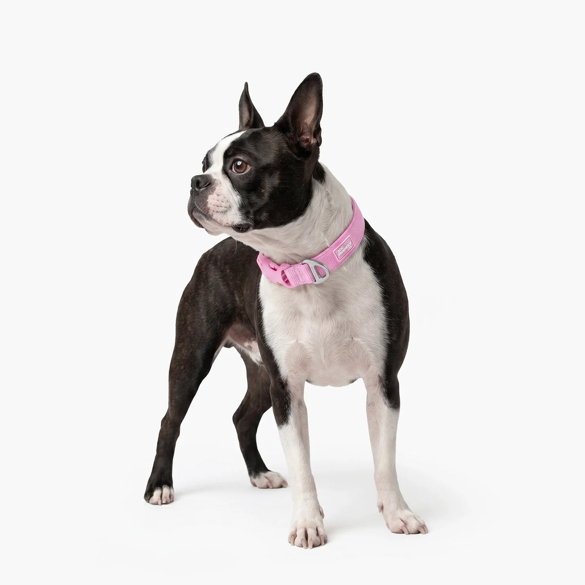 Essentials Collar - Pink
