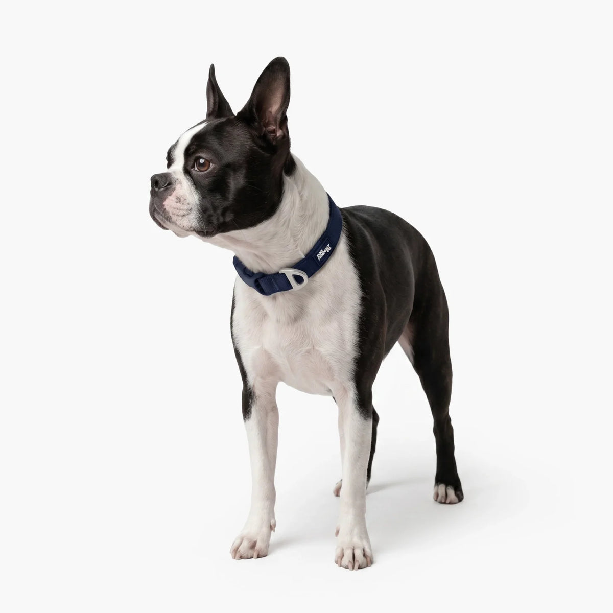 Essentials Collar - Navy Blue