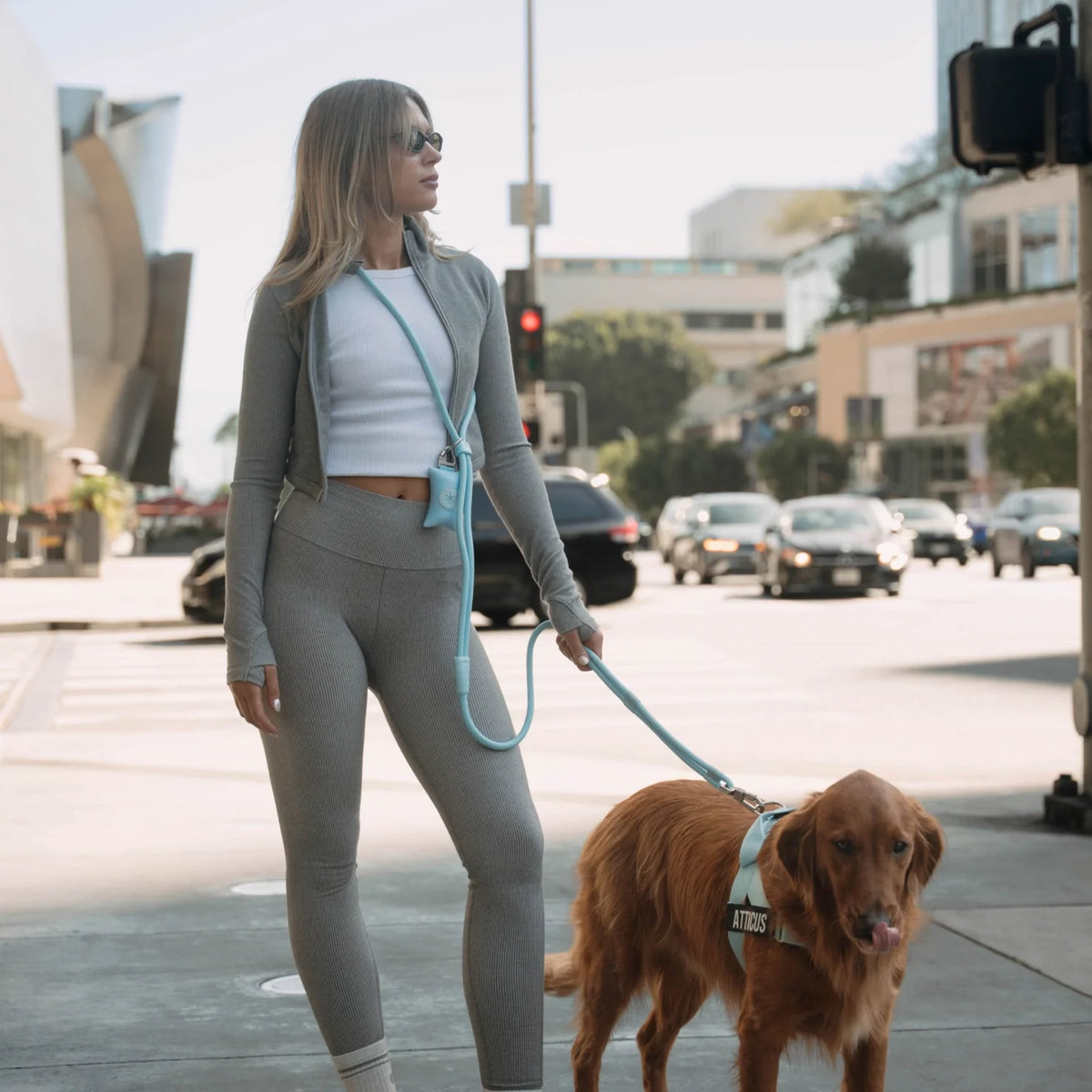 Hands Free Leash - Sky Blue