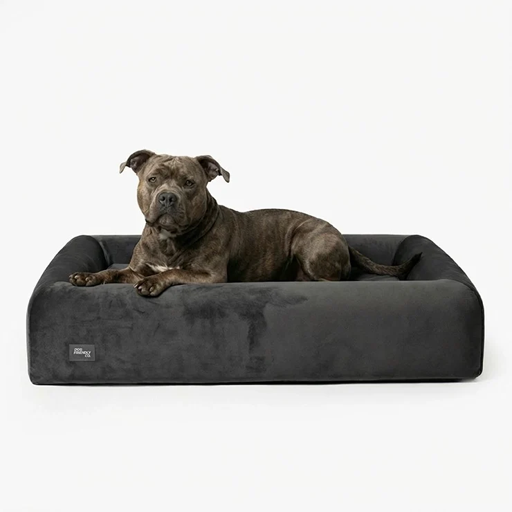 Premium Orthopedic Memory Foam Dog Bed - Charcoal (Medium) (LP)