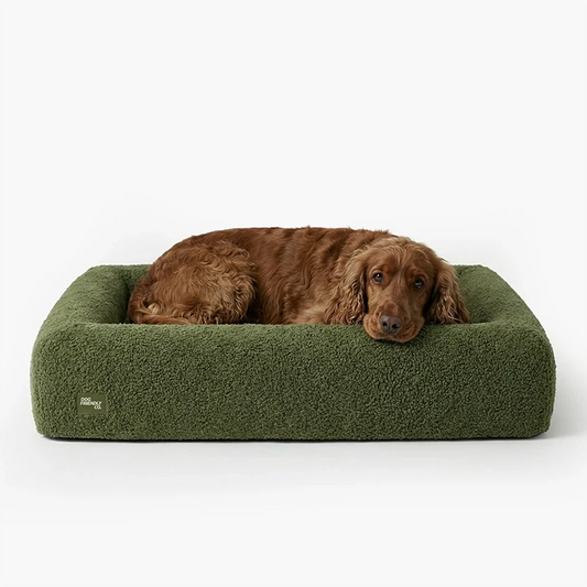 Premium Orthopedic Memory Foam Dog Bed - Green Bouclé (Medium) (LP)