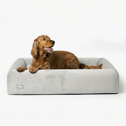 Premium Orthopedic Memory Foam Dog Bed - Grey (Large) (LP)