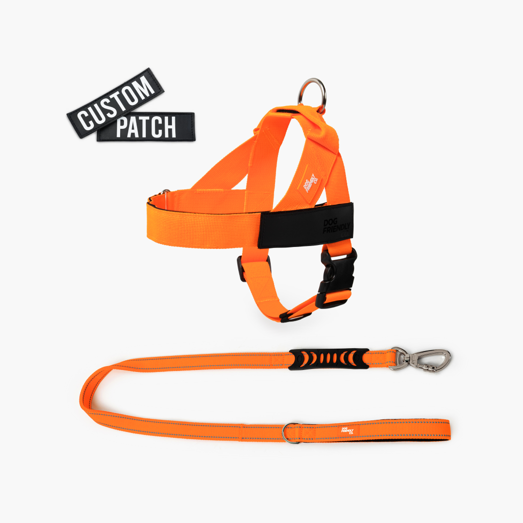 Signature Kit - Orange - FREE D-Ring