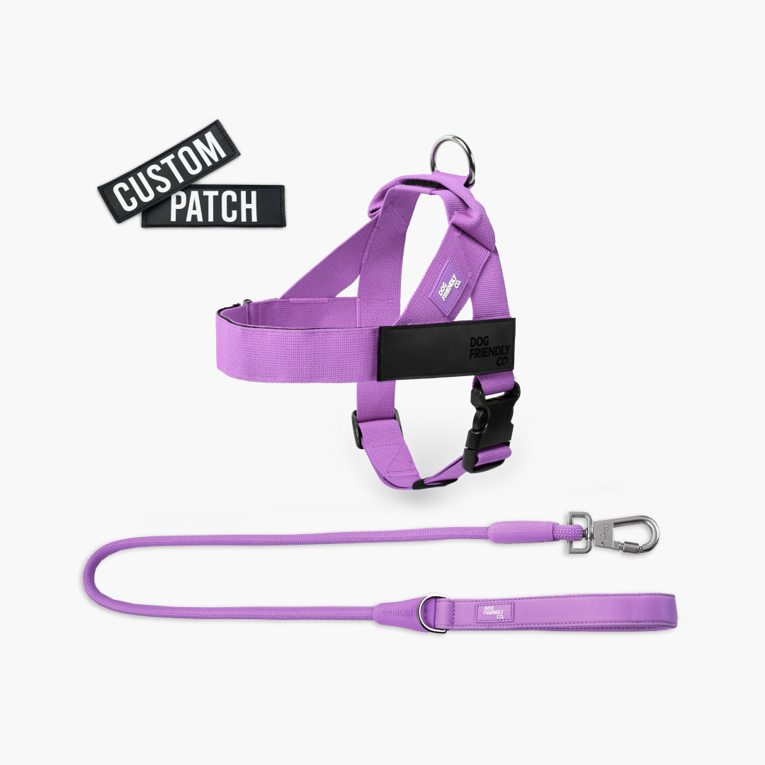 Signature Kit - Purple - FREE D-Ring