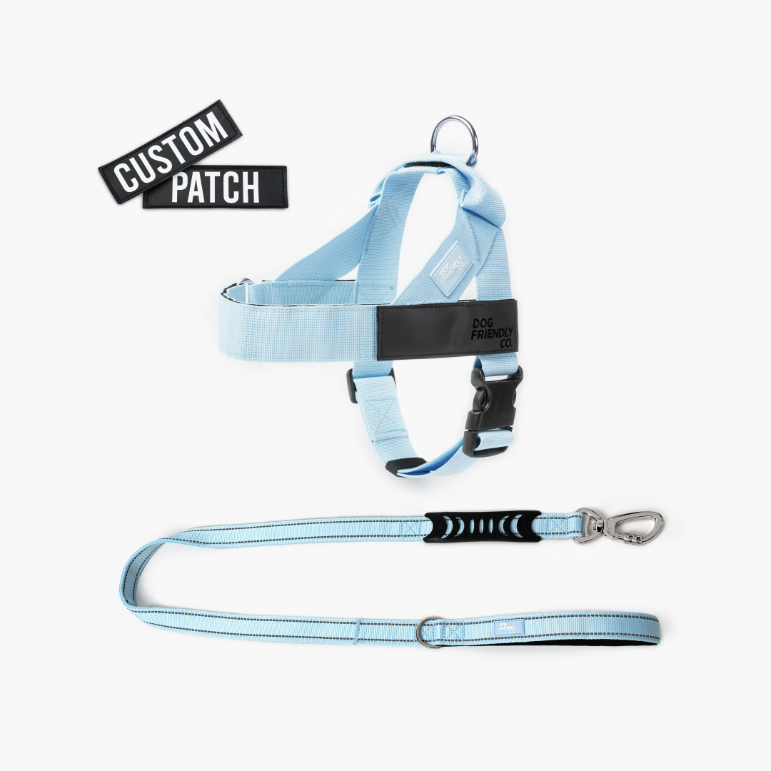 Signature Kit - Sky Blue - FREE D-Ring