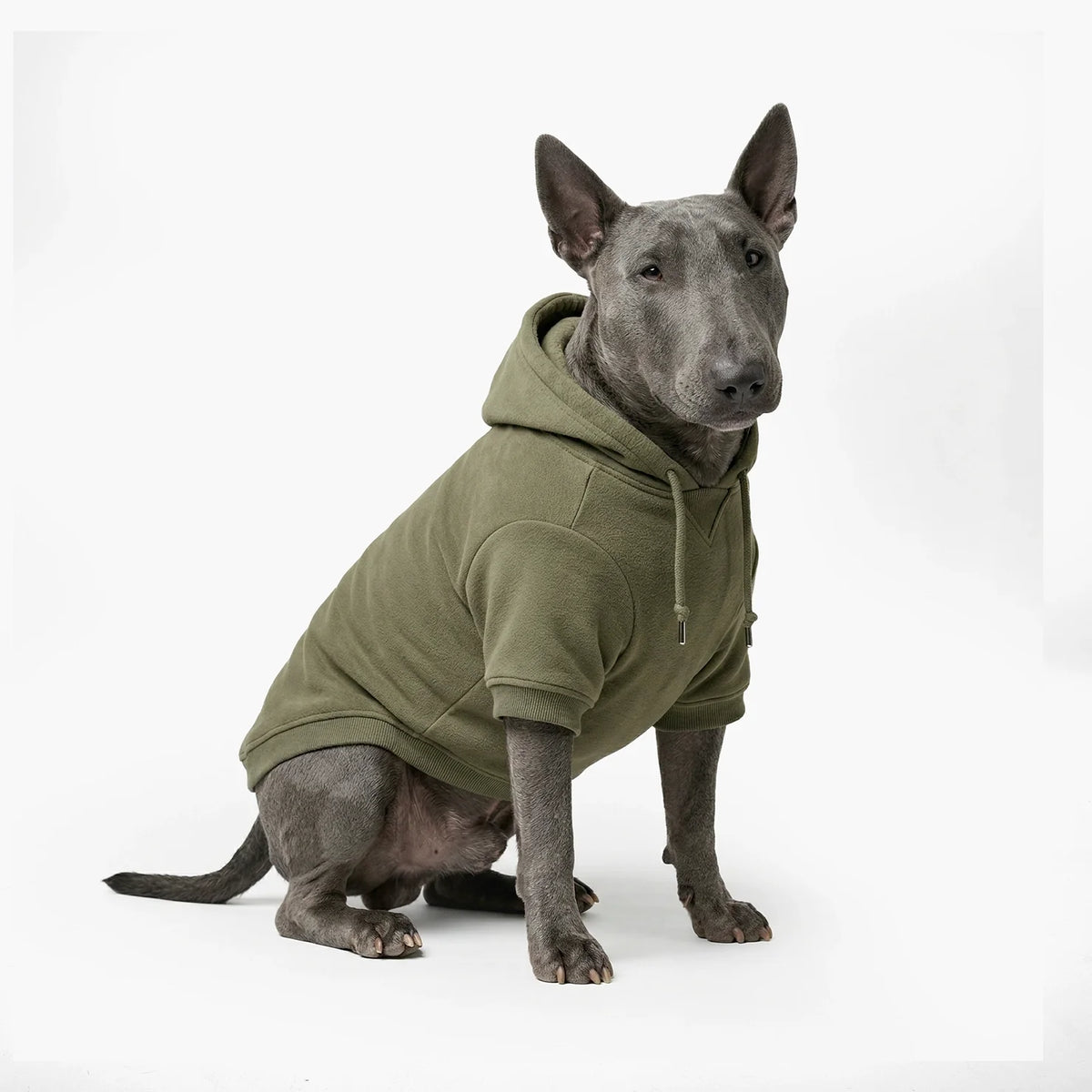 Signature Dog Hoodies - Khaki
