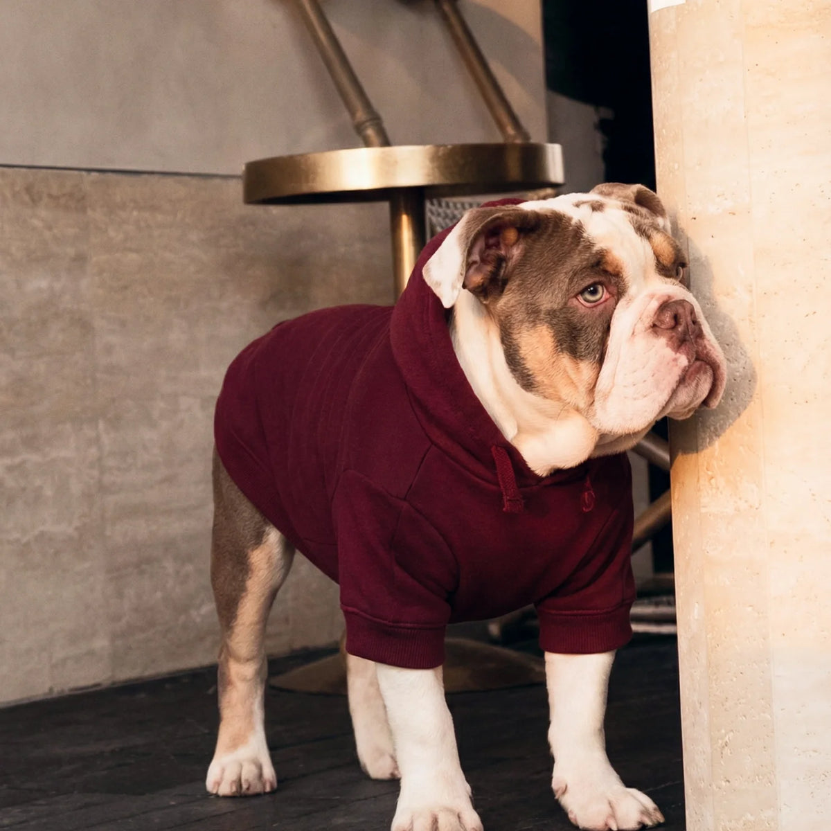 Signature Dog Hoodies - Maroon