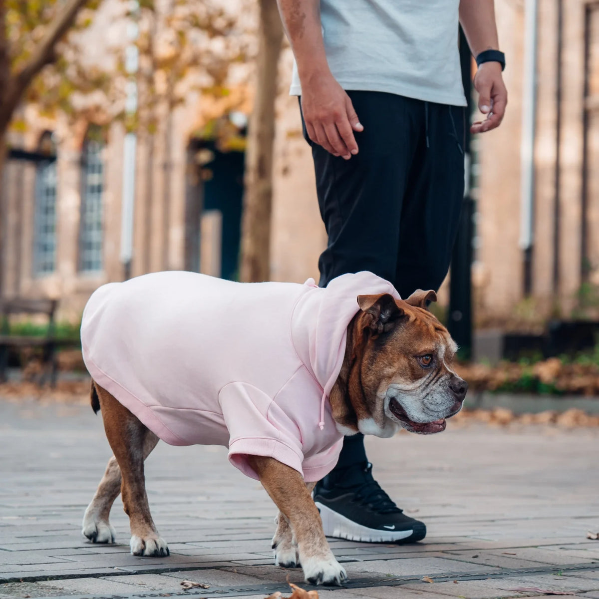 Signature Dog Hoodies - Pink
