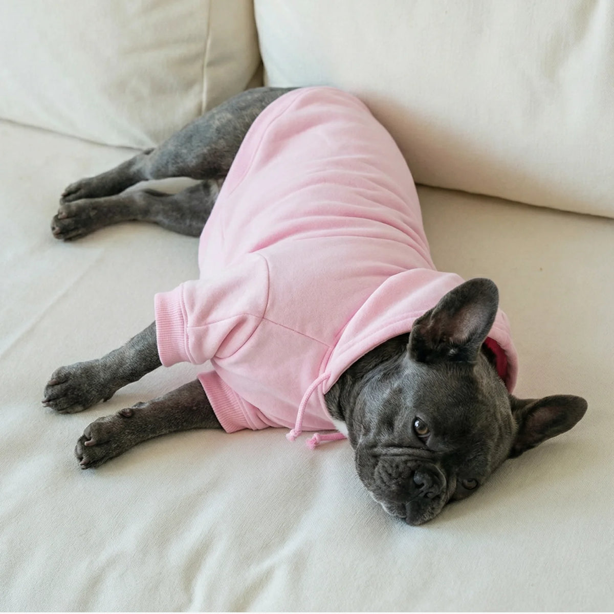 Signature Dog Hoodies - Pink