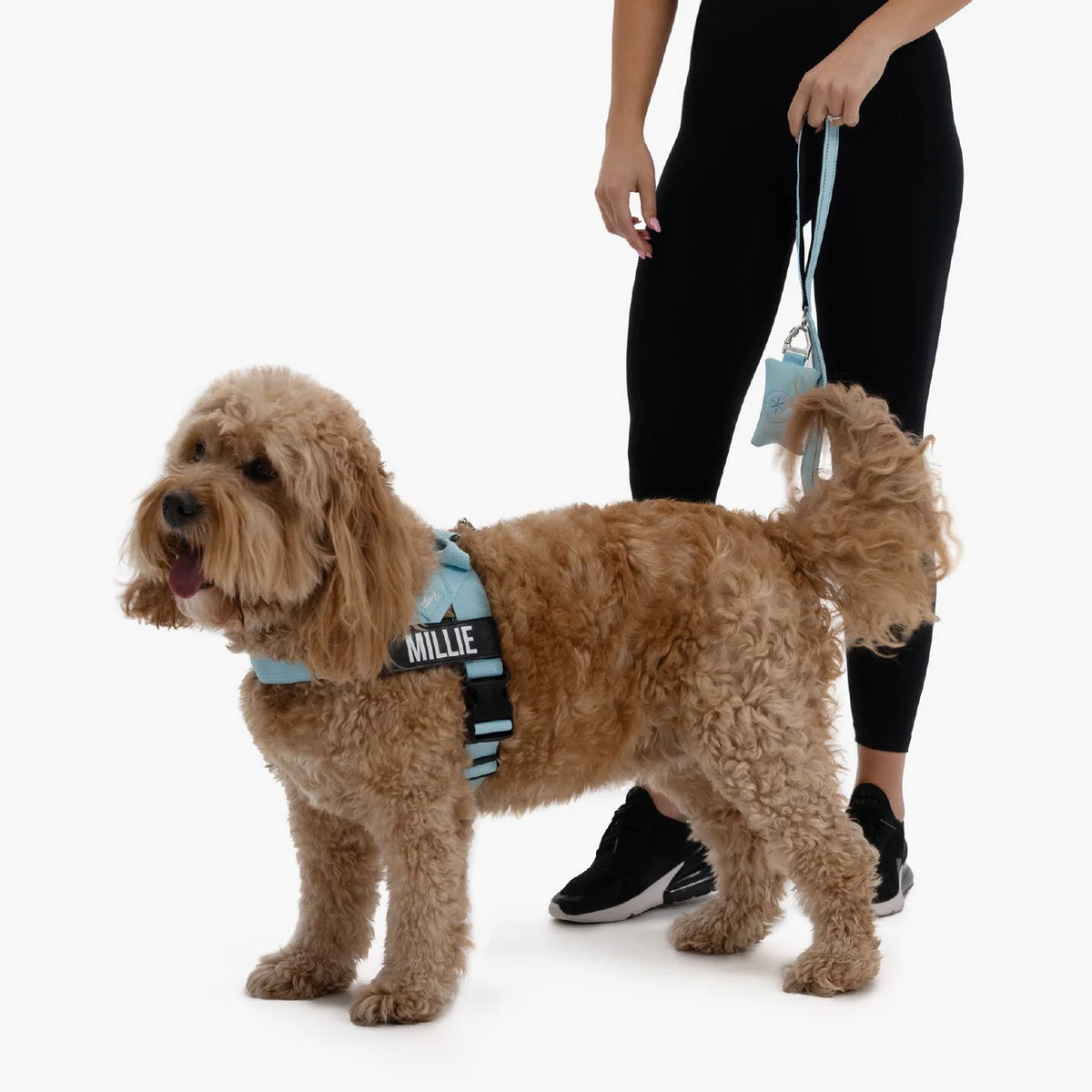 Signature Kit - Sky Blue - FREE D-Ring