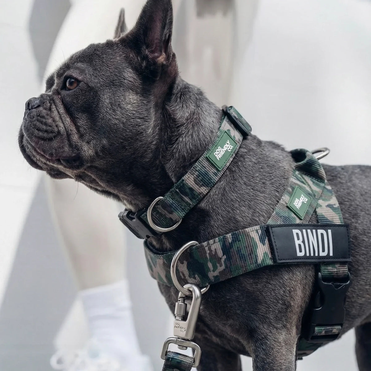 Ultimate No-Pull Bundle - Green Camo