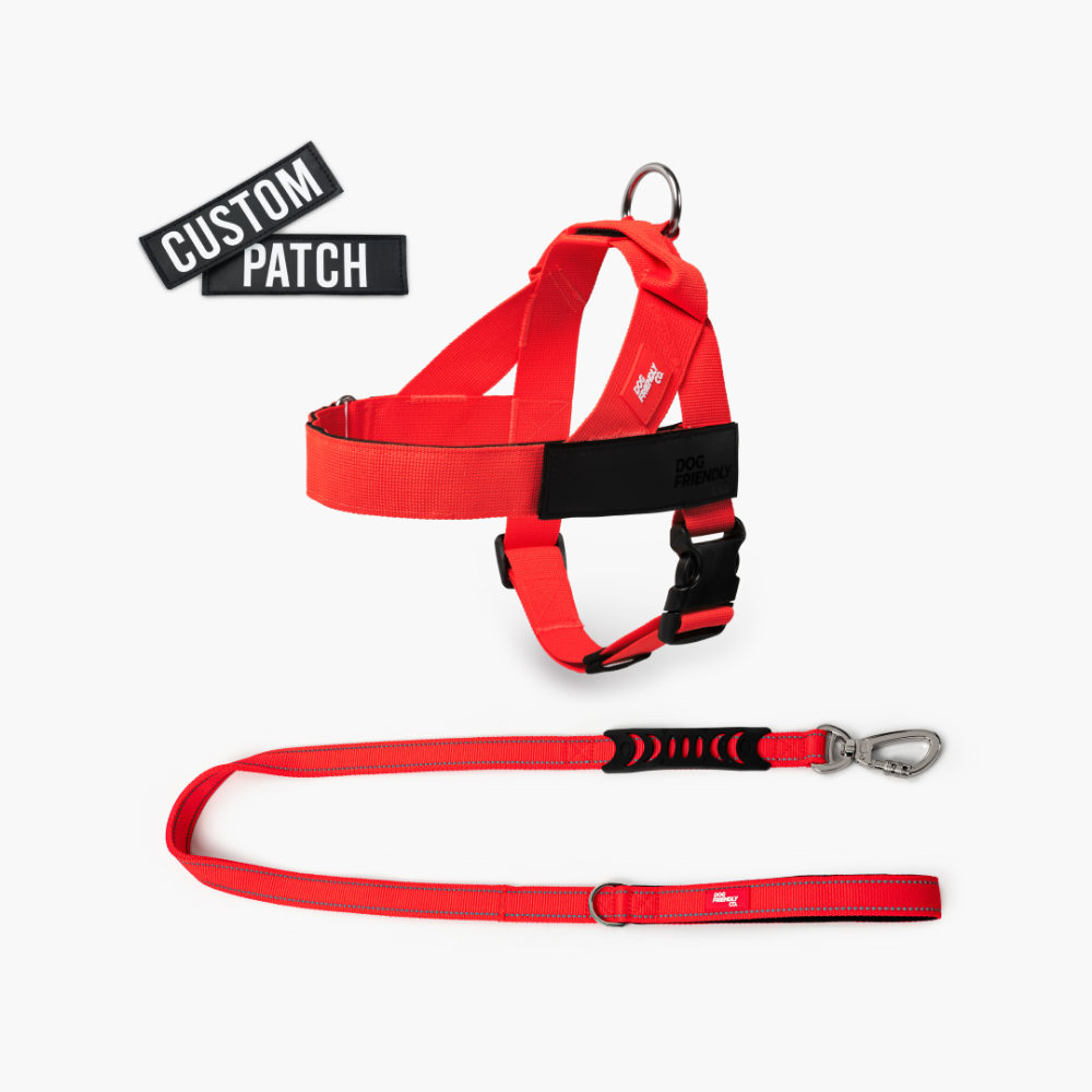 Signature Kit - Red - FREE D-Ring