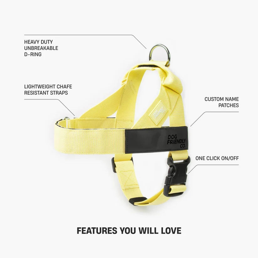 Dog Harness + FREE D-ring