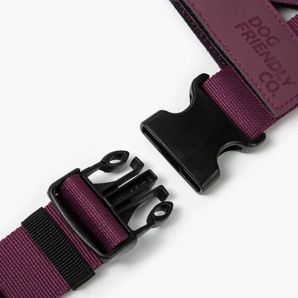 Dog Harness + FREE D-ring