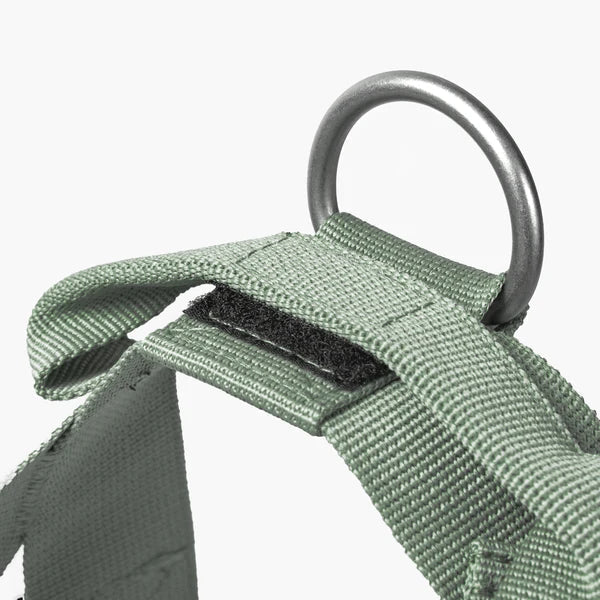 Dog Harness + FREE D-ring