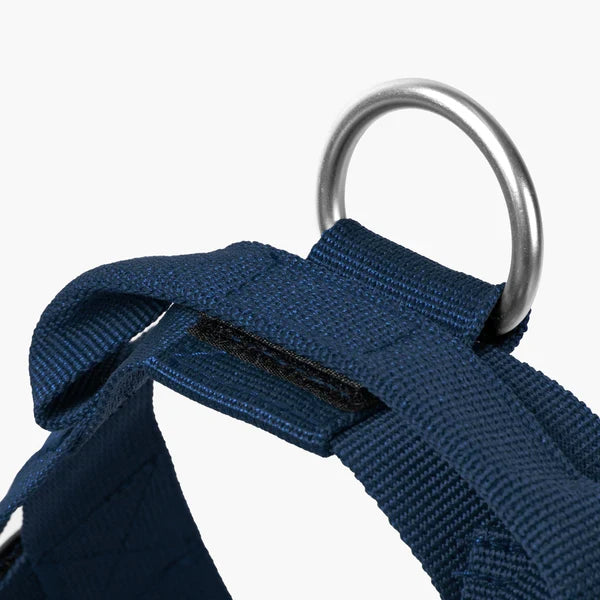 Dog Harness + FREE D-ring