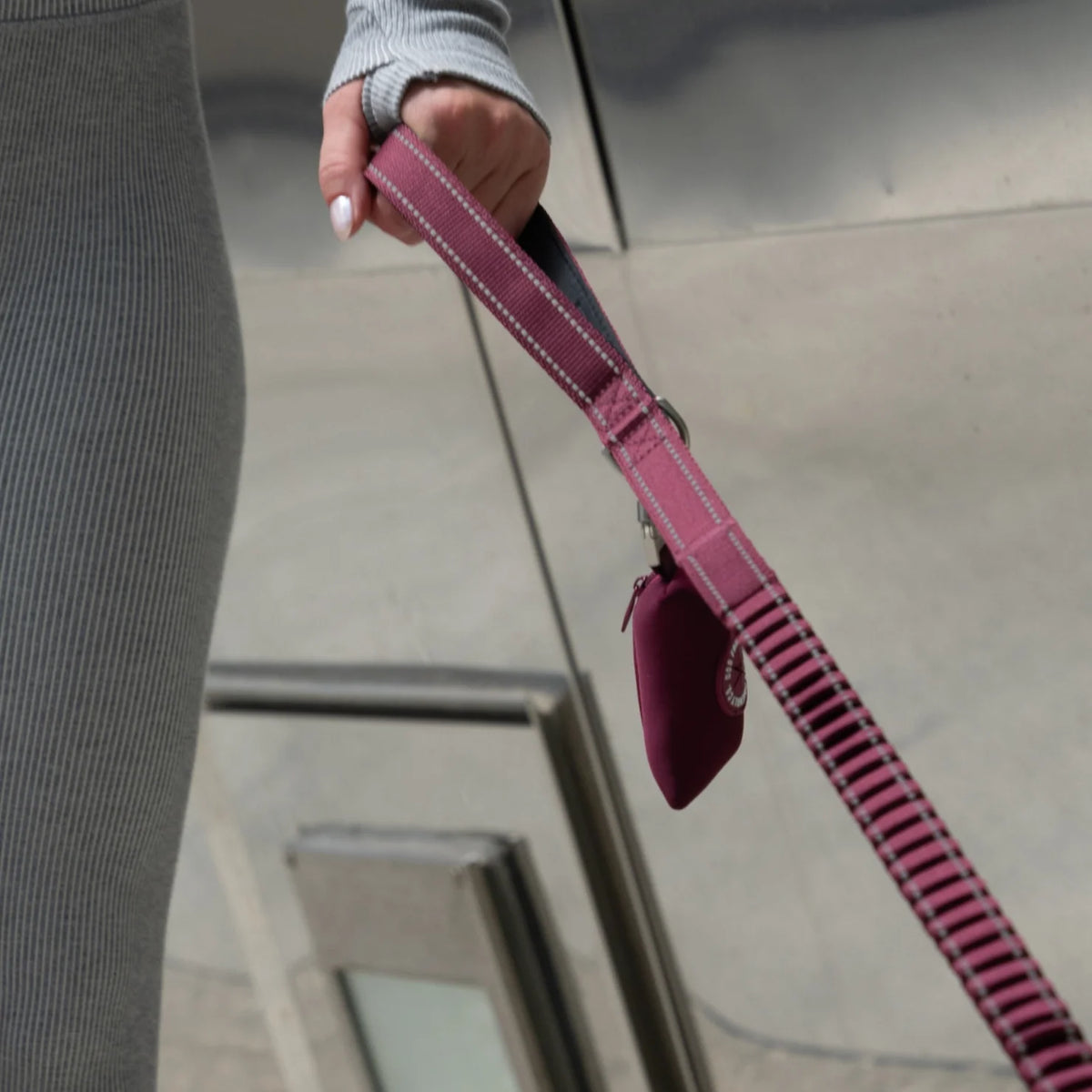 Bungee Dog Leash - Burgundy