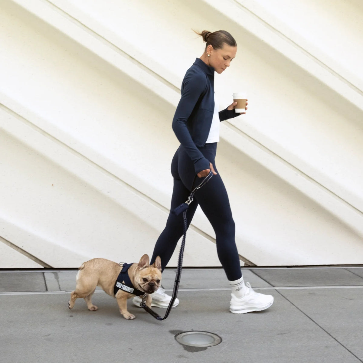 Bungee Dog Leash - Navy Blue