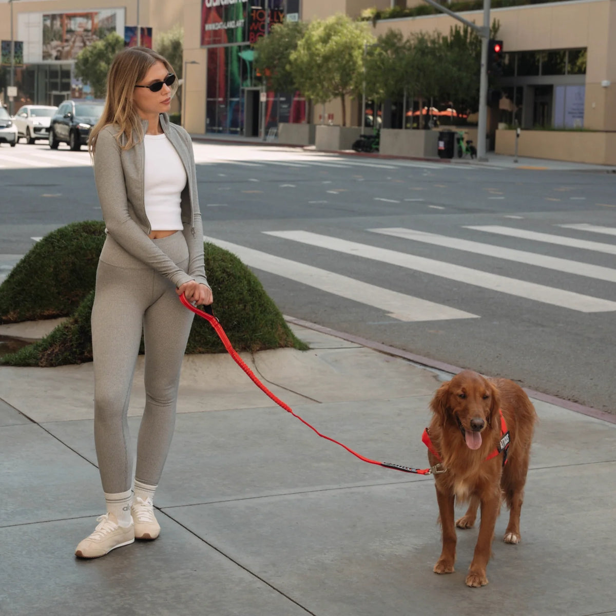 Bungee Dog Leash - Red
