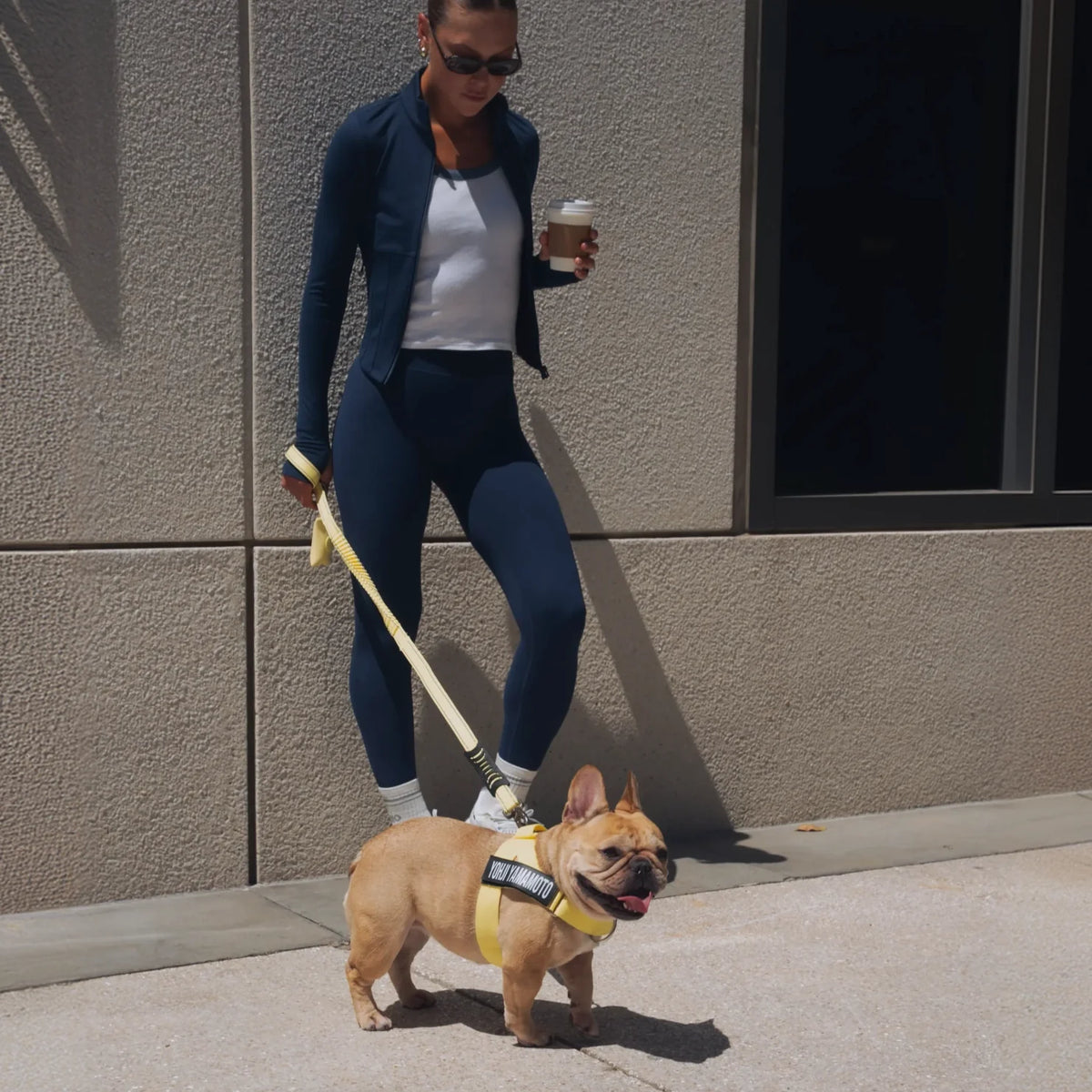 Bungee Dog Leash - Yellow