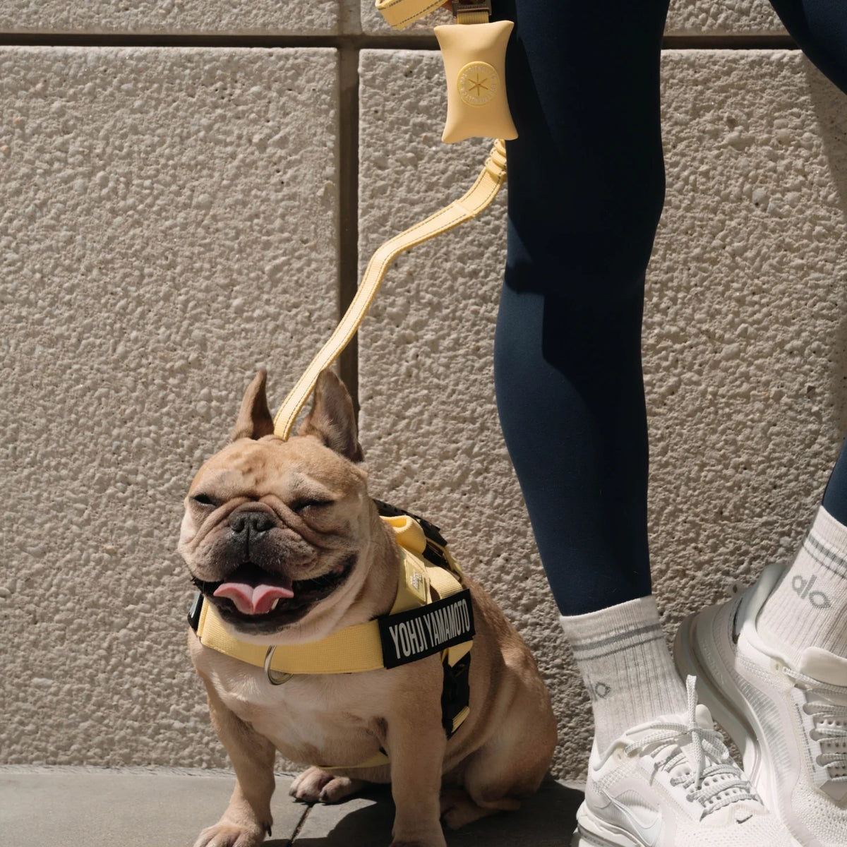 Bungee Dog Leash - Yellow