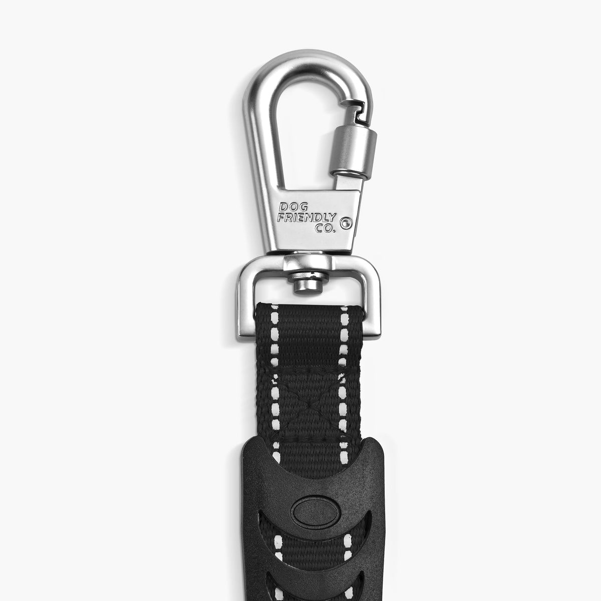 Bungee Dog Leash