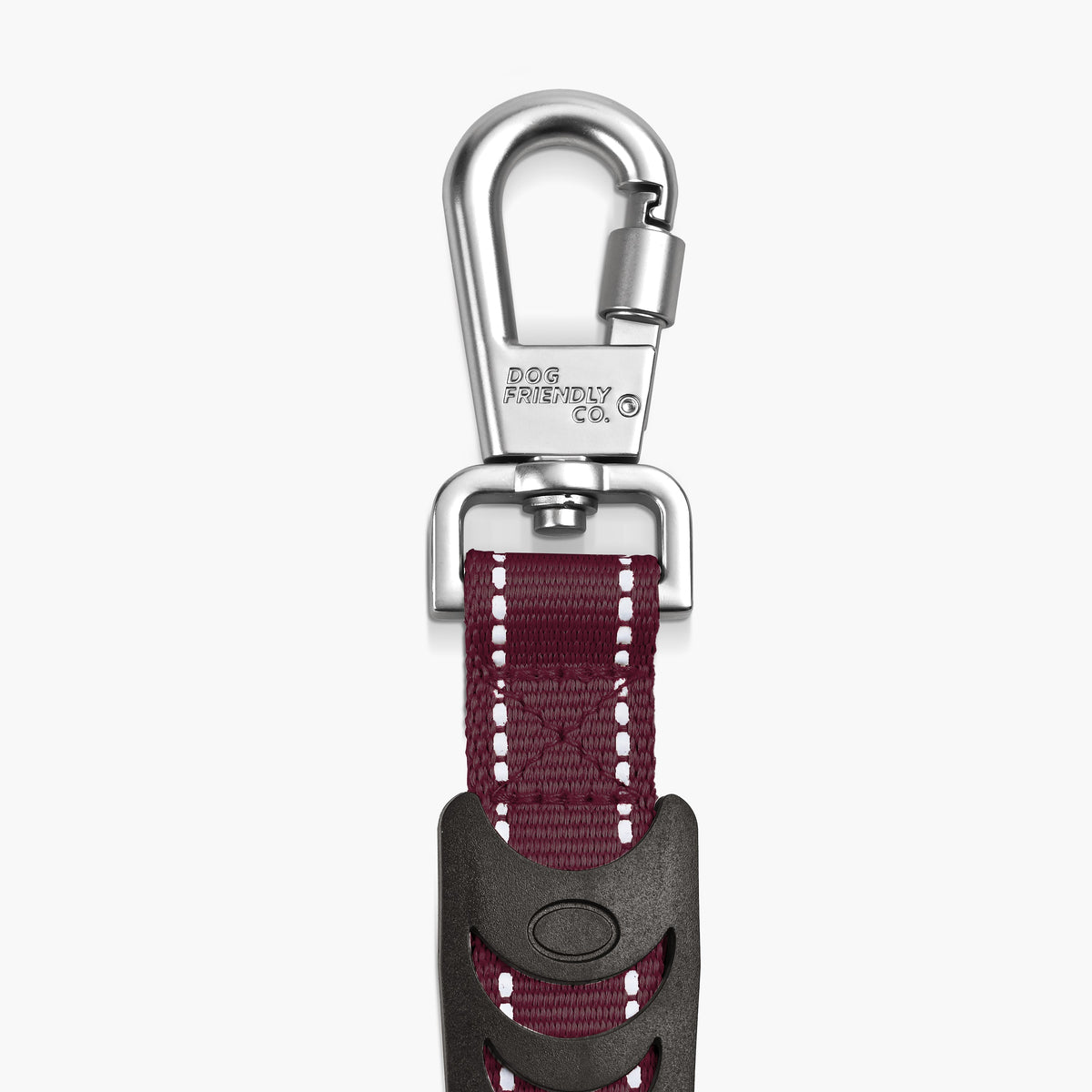 Bungee Dog Leash