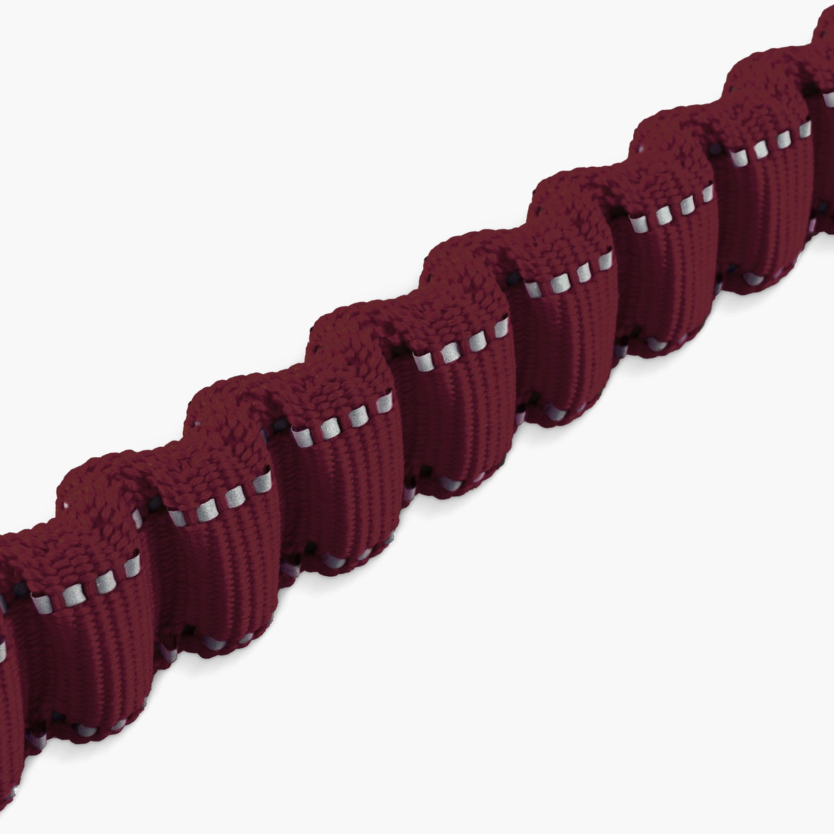 Bungee Dog Leash