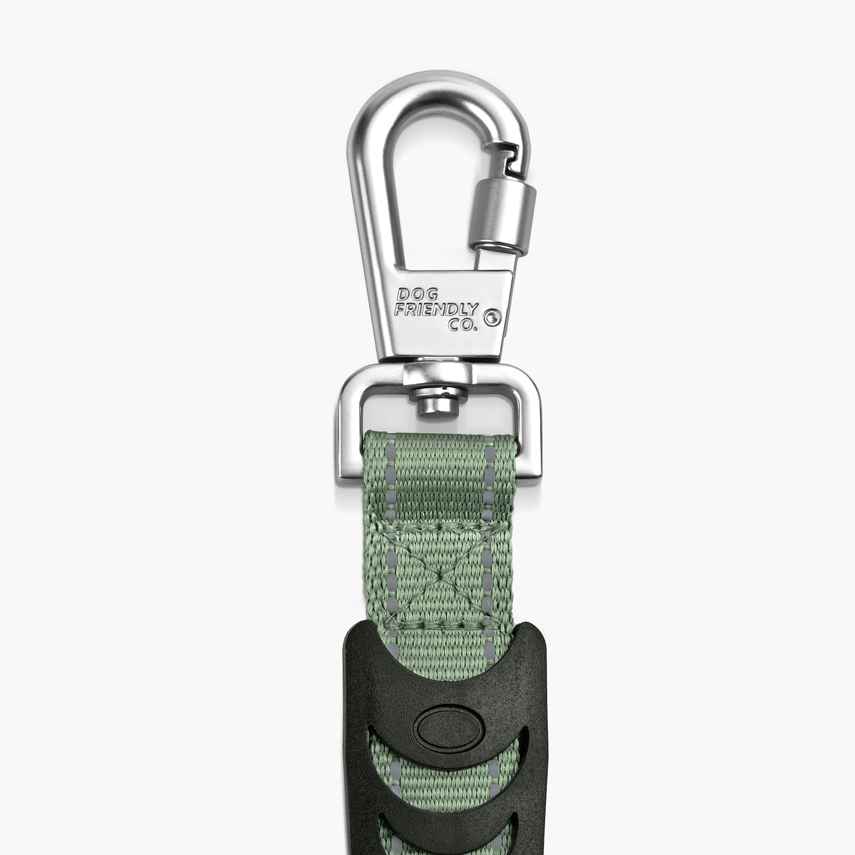 Bungee Dog Leash